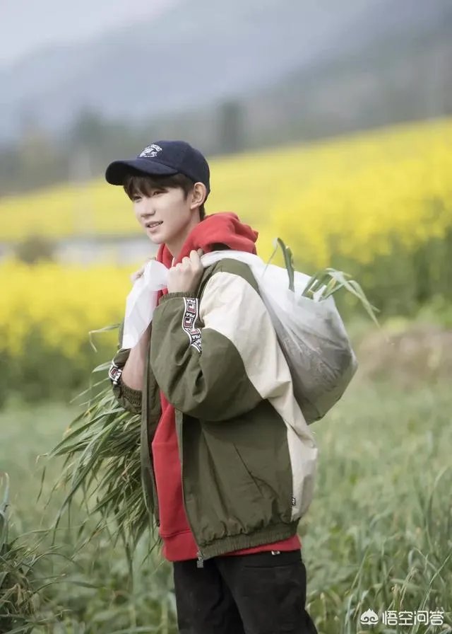 王源被质疑走后门，这算是抹黑吗？