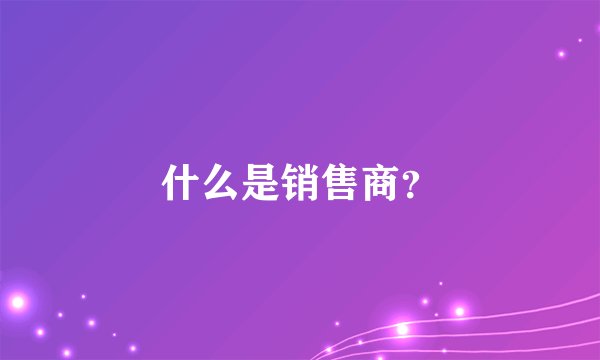 什么是销售商？