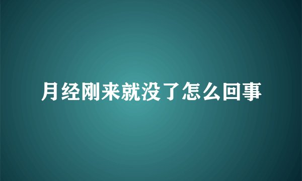 月经刚来就没了怎么回事