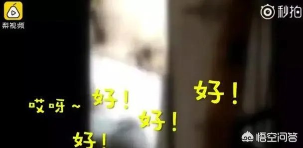 四川泸州一民警机智“撩妹”救下轻生女孩，你怎么看？