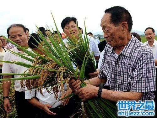 袁隆平身价多少亿？世界首富当之无愧！ 