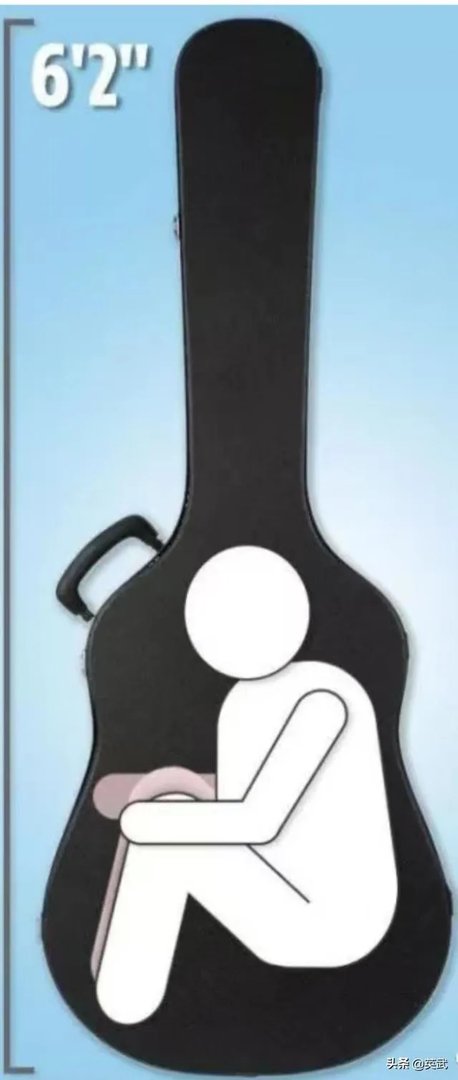 戈恩是谁，为什么能惊动黎巴嫩总统？