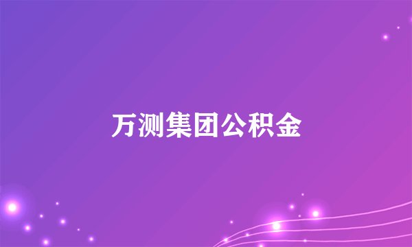 万测集团公积金