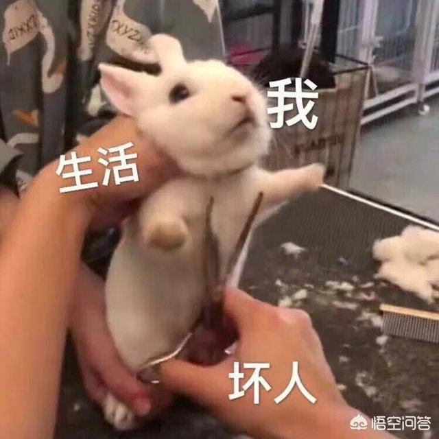 集安再建一把大吉他雕塑，大家觉得怎么样？