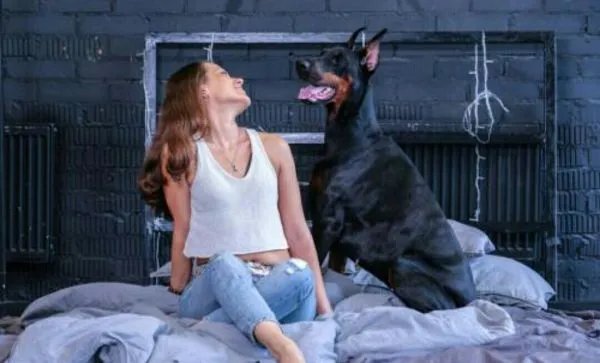 养大狗的女人是什么心态