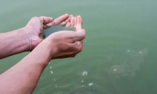 梦见浑水是什么意思 梦到浑水是什么征兆