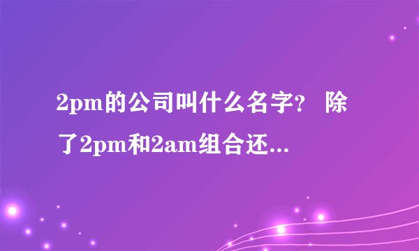 2pm的公司叫什么名字？ 除了2pm和2am组合还有什么组合吗？