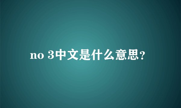 no 3中文是什么意思？