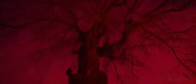 树先生解析细思极恐看了三遍 可是被这个社会逼了