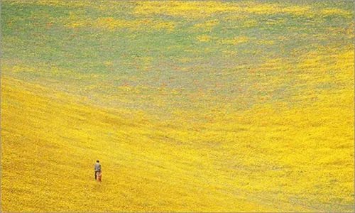 十冬腊月：指农历十月十一月(冬月)十二月(腊月)，天气寒冷的季节。也称为“寒冬腊月”。