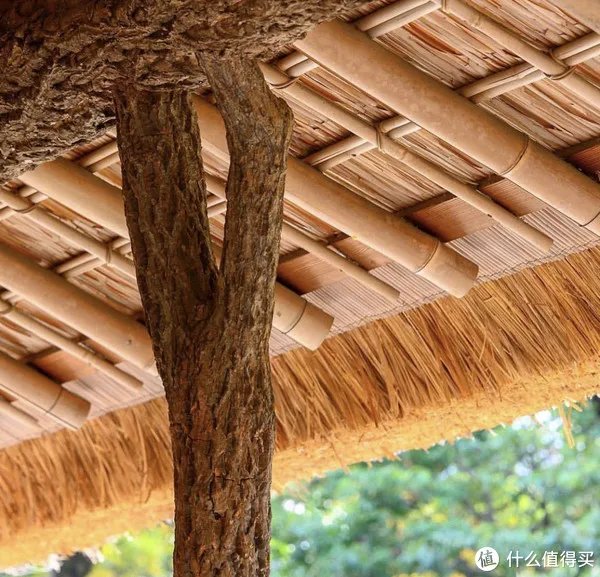 推荐京都旅行新视角，满足你对京都那些说不清的期待