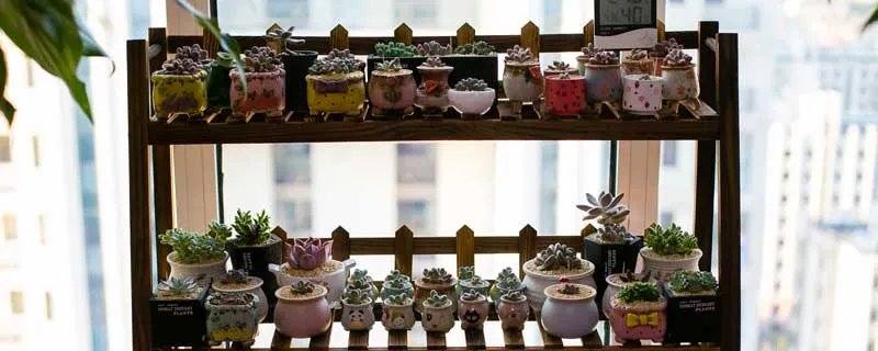 花架尺寸 花架尺寸标准尺寸