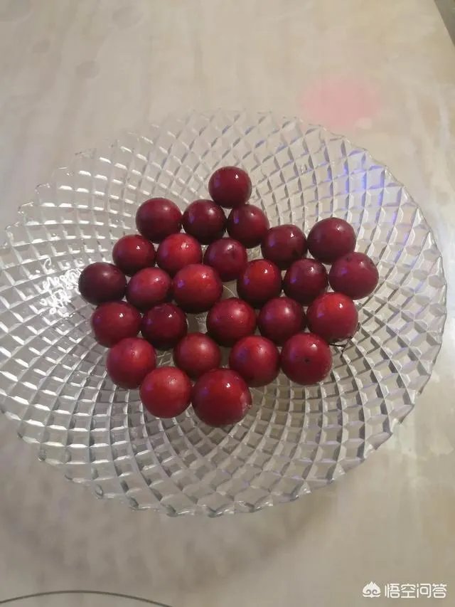 红叶李果实能吃吗？