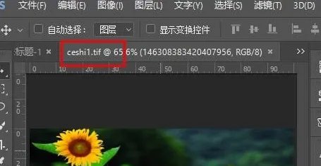 TIF格式如何打开