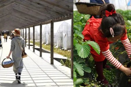 孙俪方否认签约 原来都是在炒作