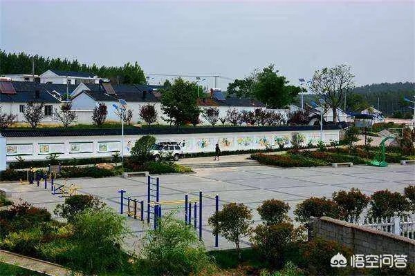 央视网评娱乐歪风