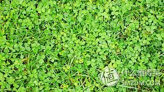 谢谢你陪我走过那段路  Panasonic  松下  Lumix  LX2  数码相机