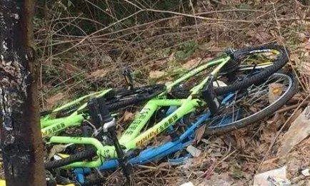 为什么成都共享单车会被集中烧毁？