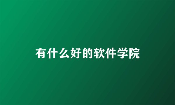有什么好的软件学院