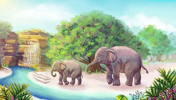 象群的首领都是雌性吗 象群的首领是不是雌性