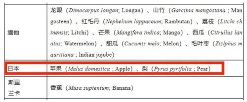 海关回应日本进口蜜瓜138元一瓣：没有这种进口