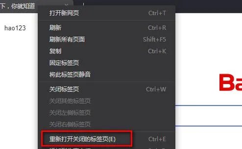 电脑最好用的浏览器