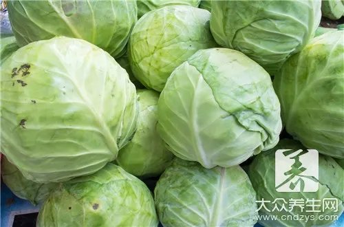 大白菜的营养价值及功效