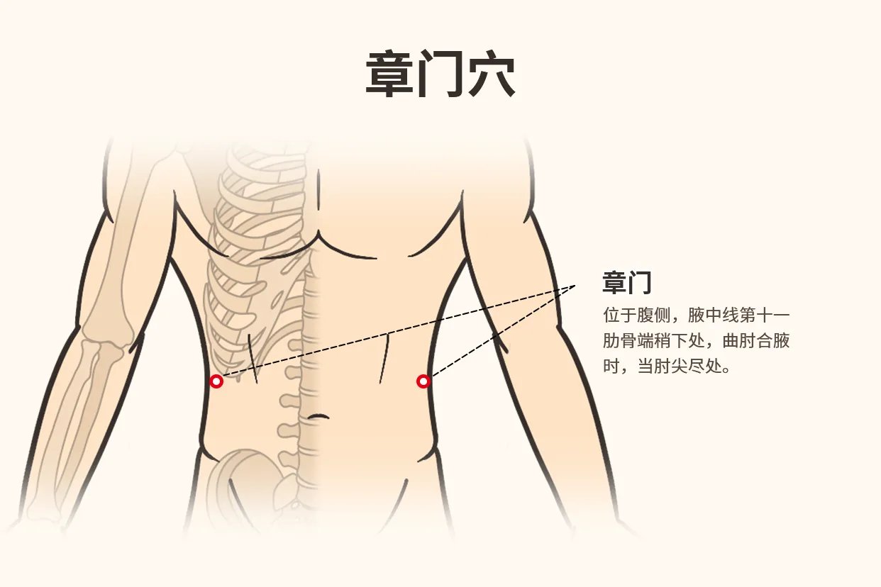章门的准确位置图与作用功效