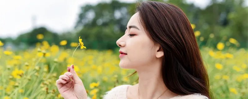 人无完人什么意思