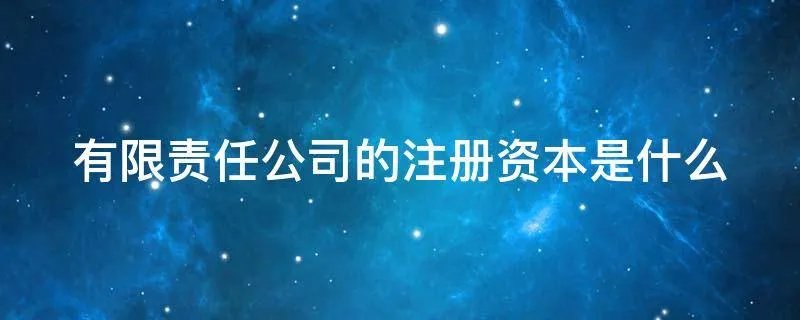 有限责任公司的注册资本是什么