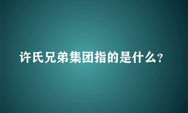 许氏兄弟集团指的是什么？