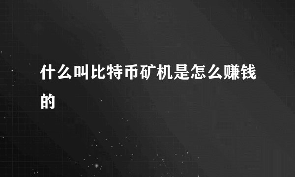 什么叫比特币矿机是怎么赚钱的