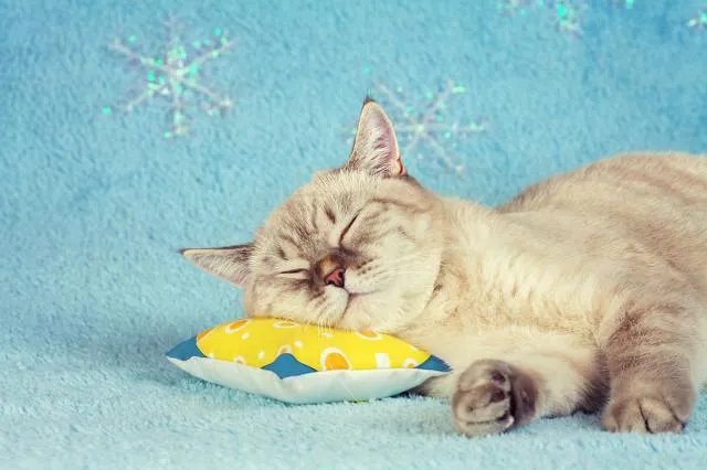 距离高考仅剩10天，考生应该如何缓解压力？