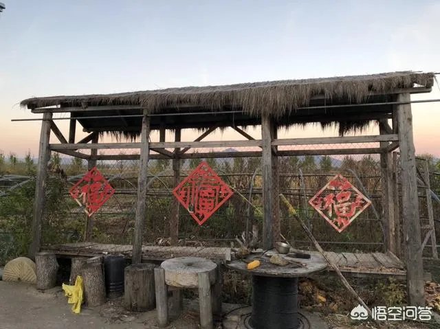 央视网评娱乐歪风