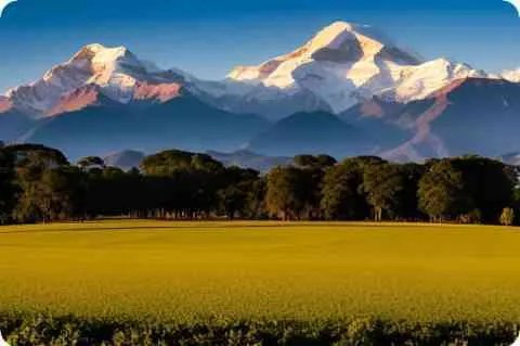 猜谜语：旧时燕 （打一字）谜底是什么？