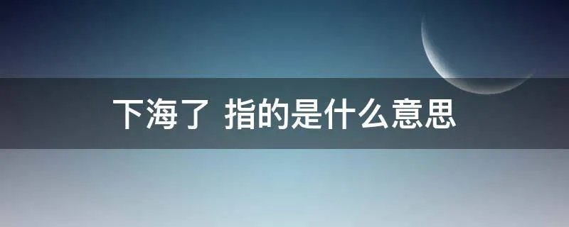 下海了 指的是什么意思