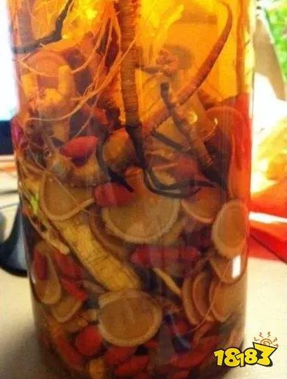 鲸鱼和海马哪种动物生活在海里属于真正的鱼？