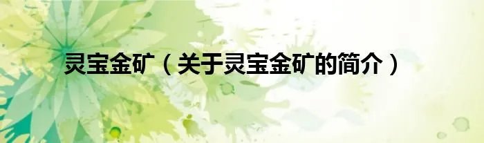灵宝金矿（关于灵宝金矿的简介）
