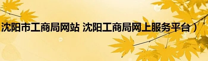沈阳市工商局网站 沈阳工商局网上服务平台）