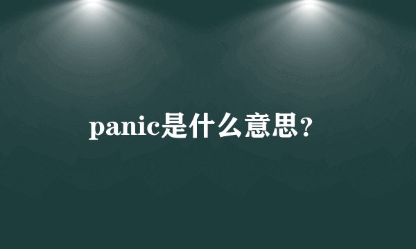 panic是什么意思？