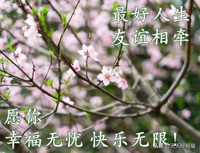 冬至问候语加图片？