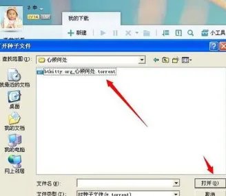 bt种子怎么手机提取
