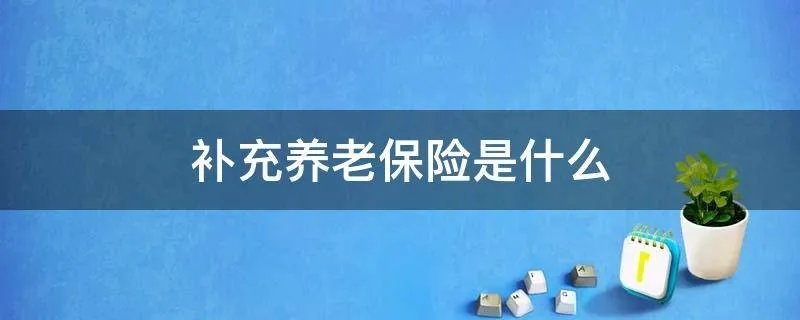 补充养老保险是什么