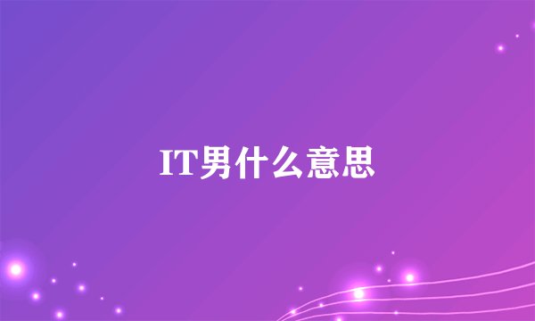 IT男什么意思