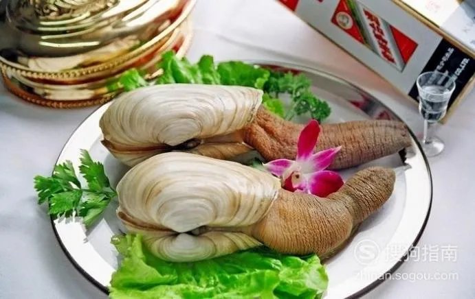 象拔蚌什么梗？