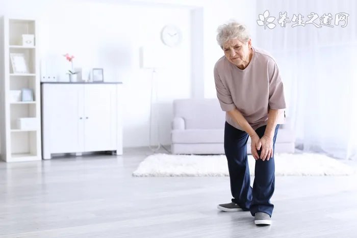 康多乐狗粮怎么样呢