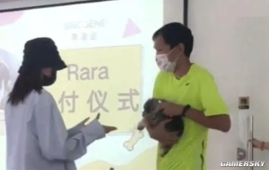 女子花25万成功克隆去世宠物狗 称实在放不下