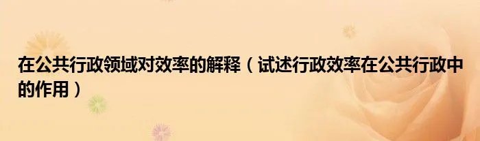 在公共行政领域对效率的解释（试述行政效率在公共行政中的作用）