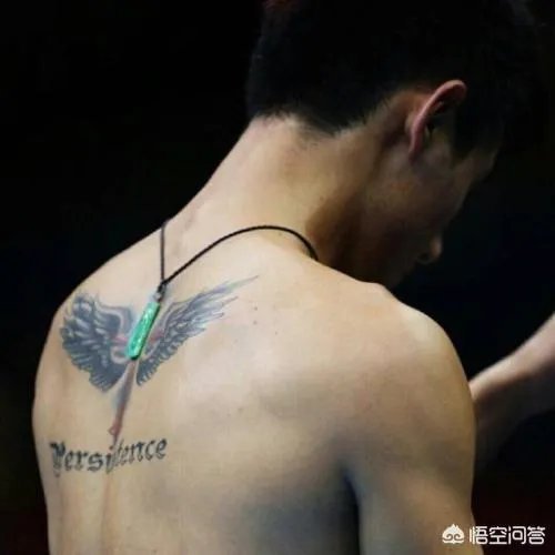 张继科为什么不选择退役？