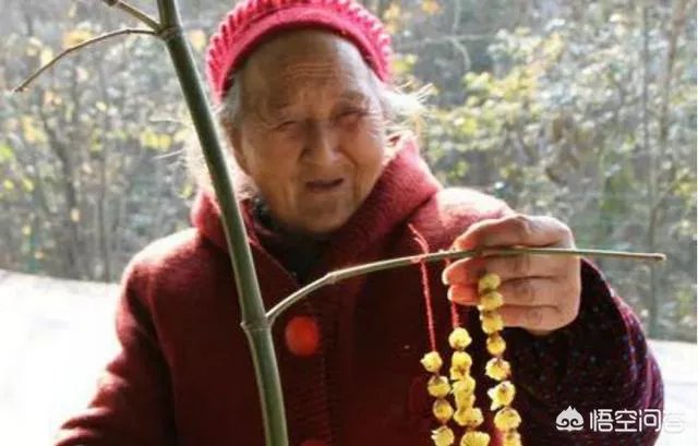 成都86岁“梅花婆婆”销售梅花引发网友讨论，你怎么想？